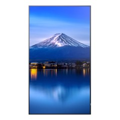 Sharp P436, 43" P-Series LFD, UHD