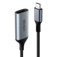 Lindy USB Type C to DisplayPort