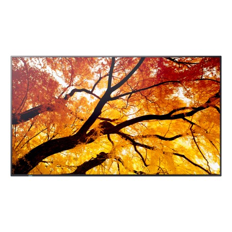 Sharp M752, 75" M-Series LFD, UHD