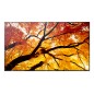 Sharp M752, 75" M-Series LFD, UHD Sharp M752, 75" M-Series LFD, UHD