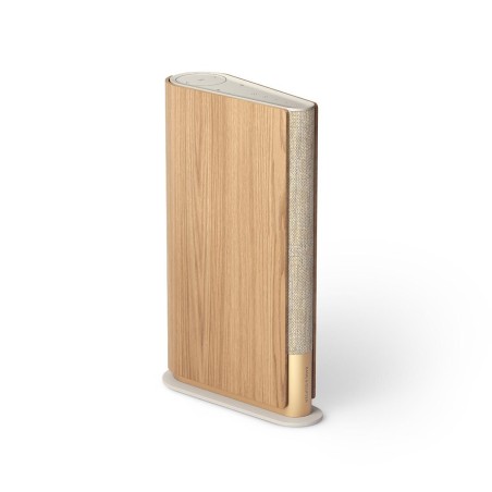 Bang Olufsen Beosound Emerge Brown Wired