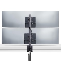 StarTech.com Desk Mount For 2X Vertically