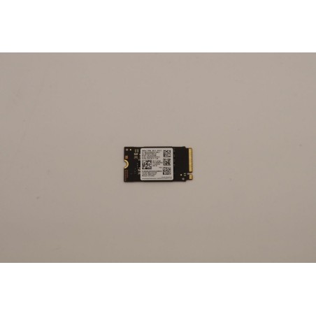 Lenovo SSD_ASM 5SS0W79528 - Kraftfuld, pålidelig og høj ydeevne | Køb nu