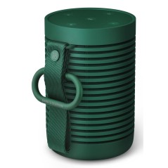Bang Olufsen Beosound Explore Green 60 W