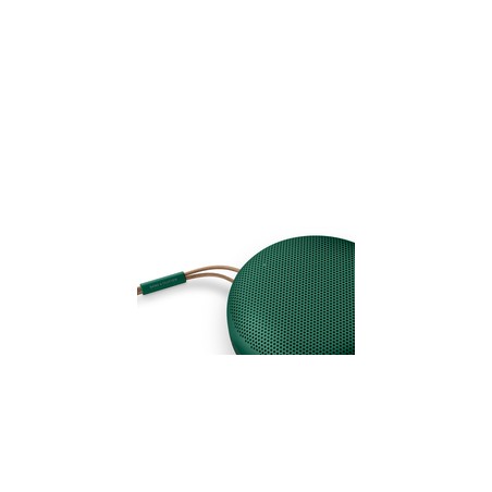 Bang Olufsen Beosound A1 2Nd Gen Green