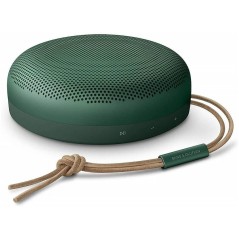 Bang Olufsen Beosound A1 2Nd Gen Green
