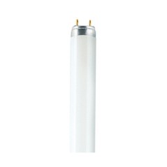 Osram T8 Active L Fluorescent Bulb