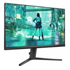 Philips 0S00 Computer Monitor 605