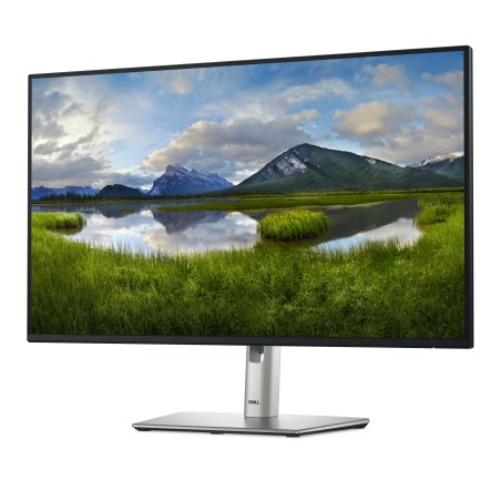 Dell P Series P2425E Computer