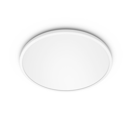 Philips Functional Ceiling Light