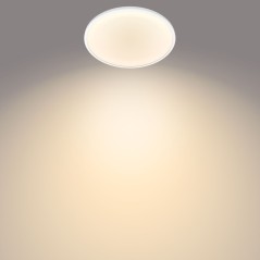 Philips Functional Ceiling Light