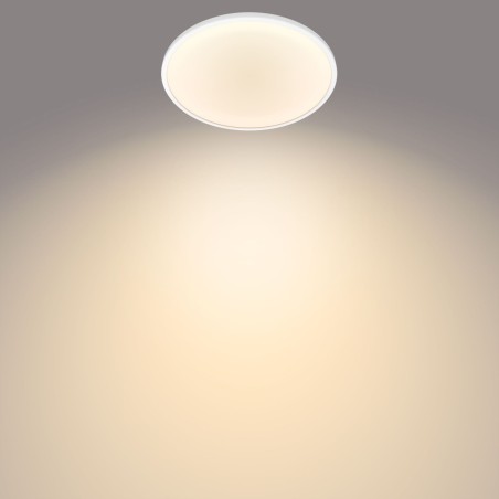 Philips Functional Ceiling Light