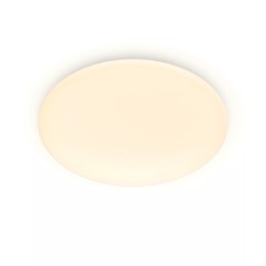 Philips Functional Ceiling Light