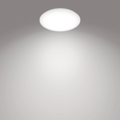 Philips Functional Ceiling Light