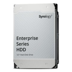 Synology 16 TB, 7200 RPM, 512 MB,