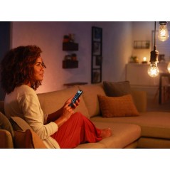 Philips 1-Pack A60 E27 Filament