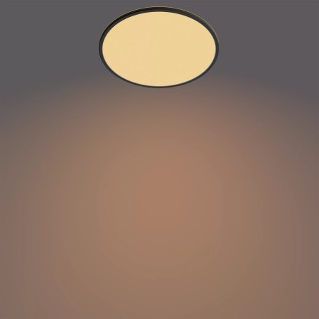 Philips Functional Ceiling Light