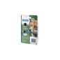 Epson T1281 Sort 185 sider Blæk C13T12814012