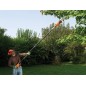 Black & Decker Beskærings-/pælesav Elektrisk 800W 3.8kg