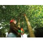 Black & Decker Beskærings-/pælesav Elektrisk 800W 3.8kg