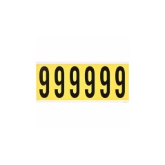 Brady Identical numbers and letters