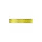 Brady Identical numbers and letters