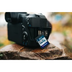 Verbatim Pro memory card 32 GB SDHC