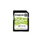 Kingston Canvas Select Plus SDXC 256GB 100MB/s
