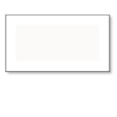 Seiko Instruments Printer labels 51 x 28 mm