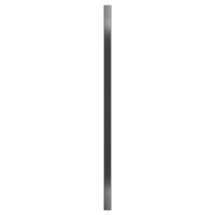 APC Rack PDU Basic Zero U 30A