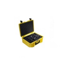 BW International Type 6000