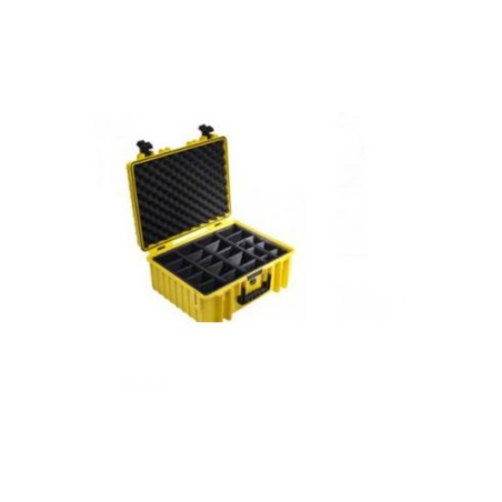 BW International Type 6000