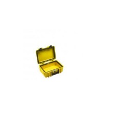 BW International Type 6000