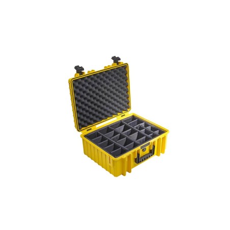 BW International Type 6000
