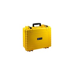 BW International Type 6000