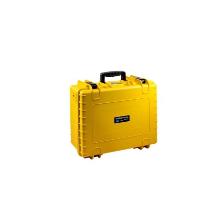 BW International Type 6000