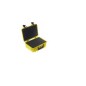 BW International Type 4000 BW International Type 4000