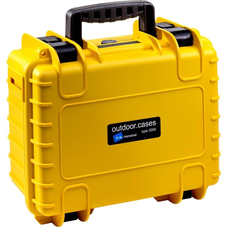 BW International Type 3000