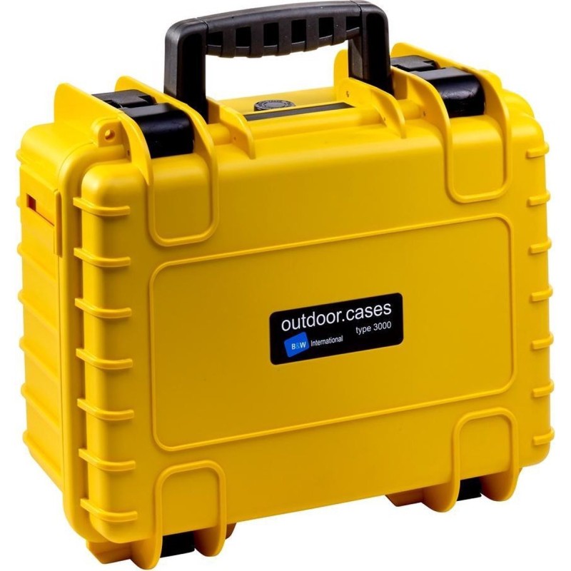 BW International Type 3000