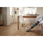Philips XW7110 Dry & wet Gulvvasker Støvsuger Pind/håndholdt 0.6liter Champagne