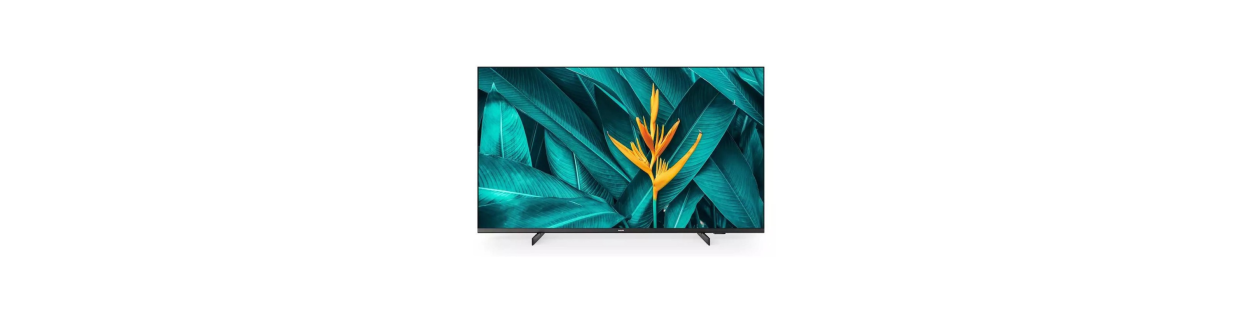 TV & Skærme – Smart-TV, Gaming Monitorer & Displays | UltraShop